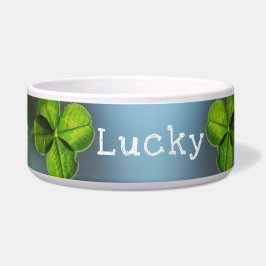 Lucky Green Vierblättriges Kleeblatt Napf