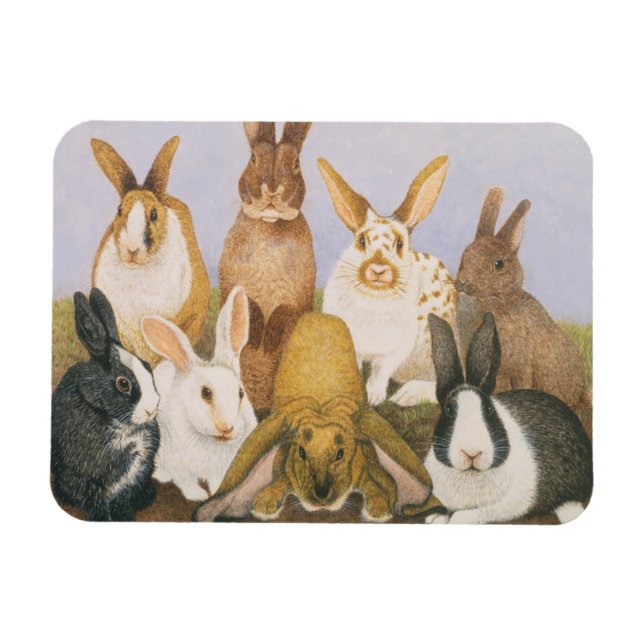 Lucky Kaninchen Magnet (Horizontal)