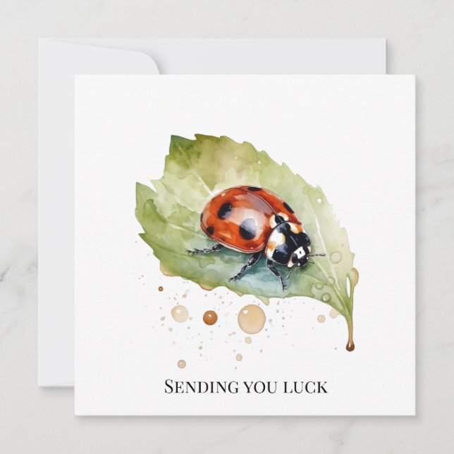 Lucky Ladybug über Leaf Einladung (Vorderseite)