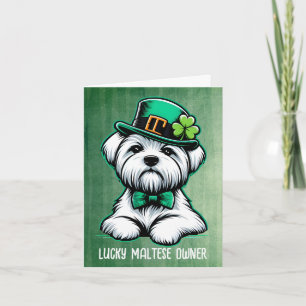 Lucky Maltese Dog Owner Happy St Patricks Day Feiertagskarte