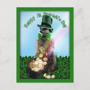 Lucky Meerkat mit Pot Of Gold St. Patrick's Day Postkarte