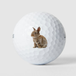 Lucky Niedlich Rabbit Bunny Golfball