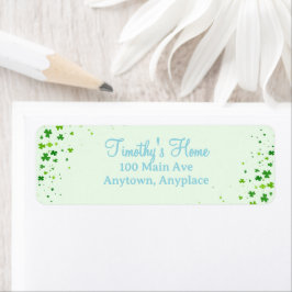 Lucky One First 1st Birthday Party