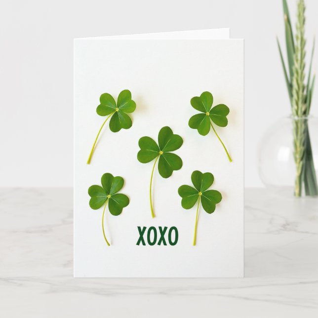 Lucky Shamrocks Xoxo Karte (Vorderseite)