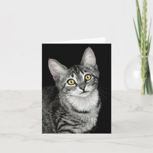 "Lucky Star" Tabby Kitten Card Karte