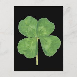 Lucky Vier-Leaf Klee Kleeblatt Postkarte