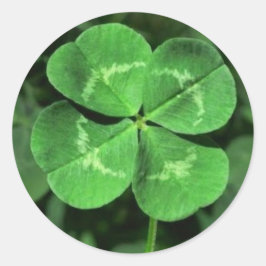 LUCKY VIERBLÄTTRIGES KLEEBLATT STICKERS