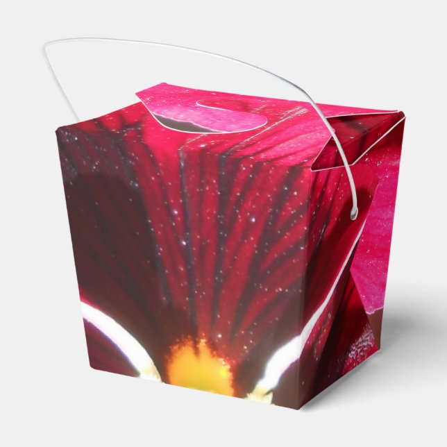 Lucrezia Geschenkschachtel (Rückseite)