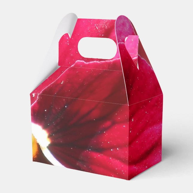 Lucrezia Geschenkschachtel (Vorderseite)