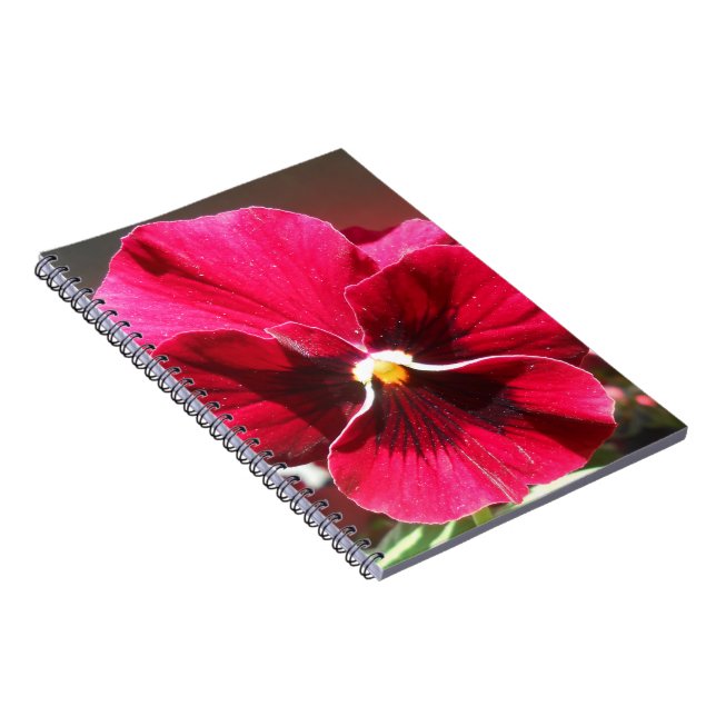 Lucrezia Notizblock (Rechte Seite)