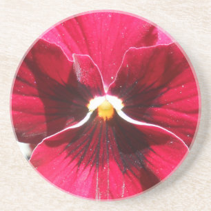 Lucrezia Untersetzer