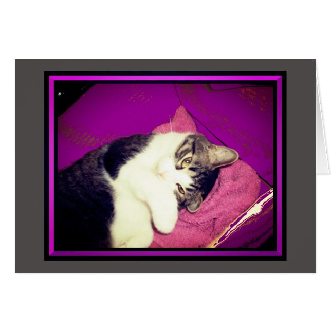 Lucy Kitty Mitteilungskarten (Vorderseite (Horizontal))