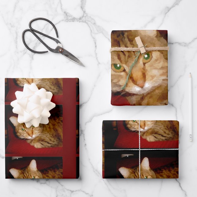 Lucy Kitty Wrapping Paper Set Geschenkpapier Set (Vorderseite)