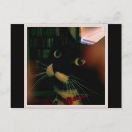 Lucy's Closeup Postkarte