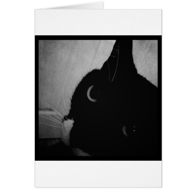 Lucy's Crazy Nah-up (Vorne)