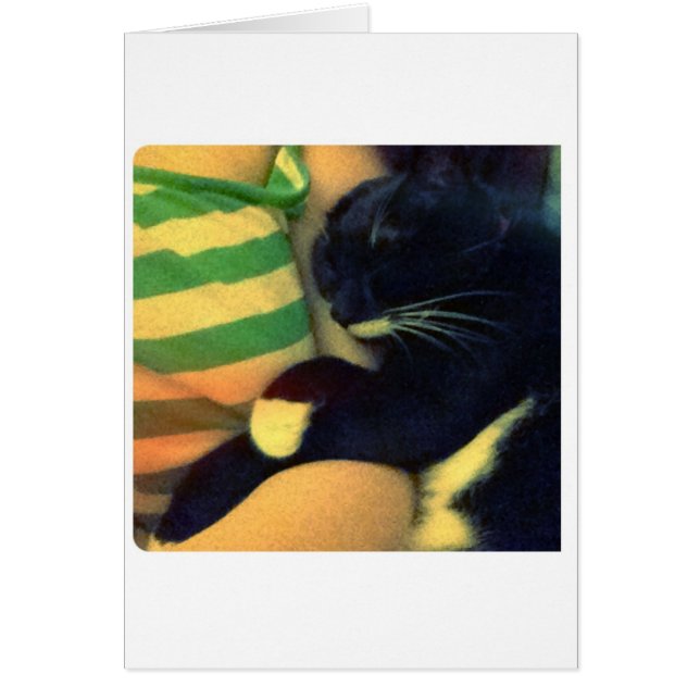 Lucy's Snuggles (Vorne)