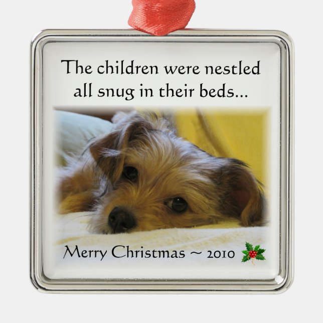 Lucys Weihnachtsverzierung 2010 Ornament Aus Metall (Vorne)