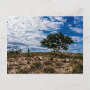 Ludington Staat Park, Michigan Postkarte