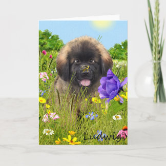 Ludwig die Leonberger Welpen-Gruß-Karte Karte