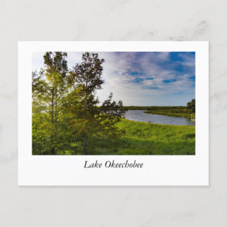 Luft aus dem Okeechobee-See Postkarte