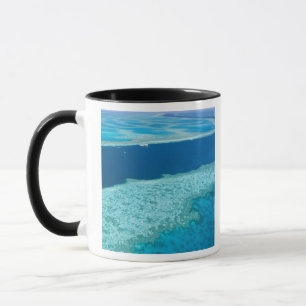 Luftansicht des Great Barrier Reef von der Tasse