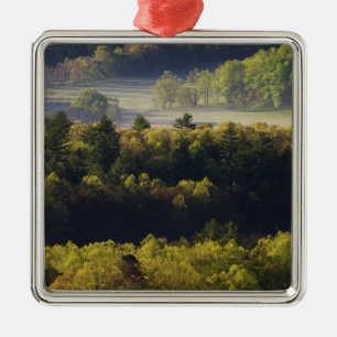 Luftansicht des Waldes in Cades Cove, Great Smoky Silbernes Ornament
