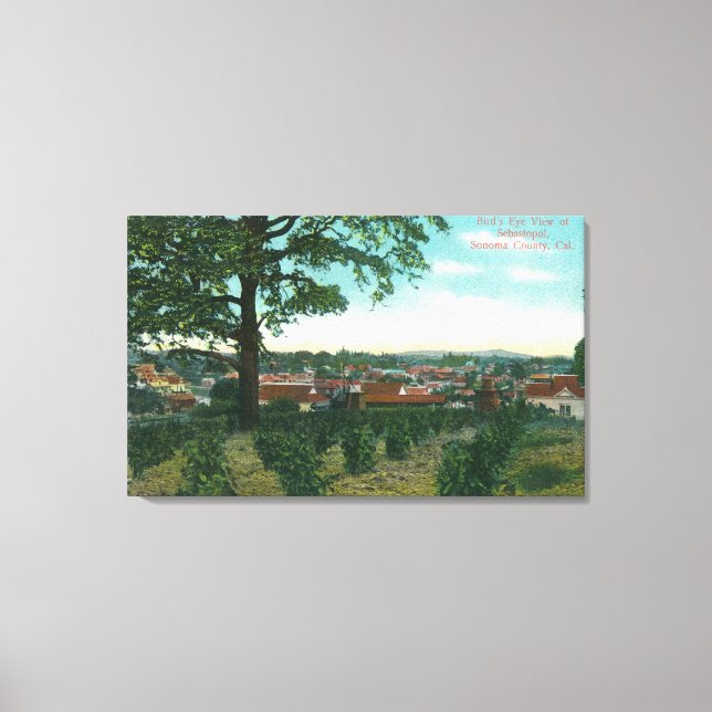 Luftaufnahme der Stadt Sebastopol, CA Leinwanddruck (Vorderseite)