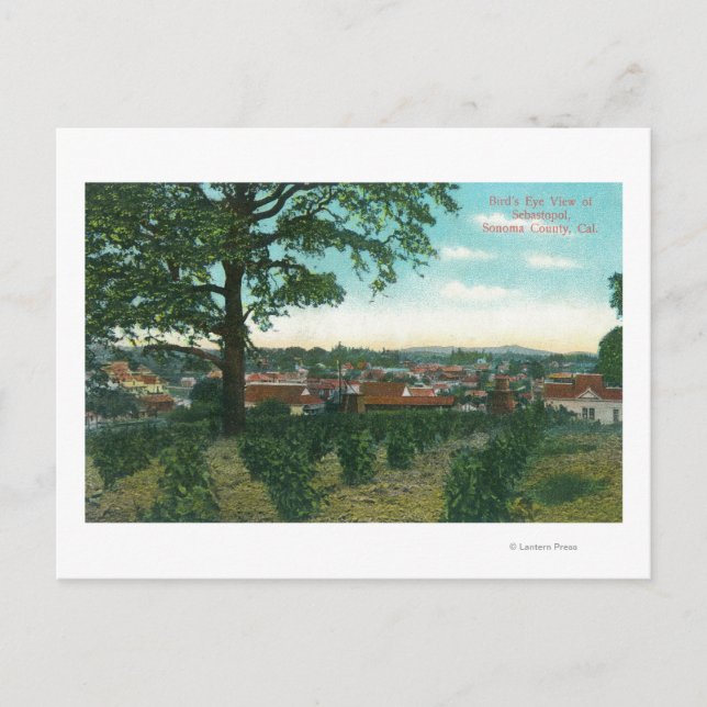 Luftaufnahme der Stadt Sebastopol, CA Postkarte (Vorderseite)