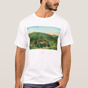 Luftaufnahme der TownBartlett Frühlinge, CA T-Shirt
