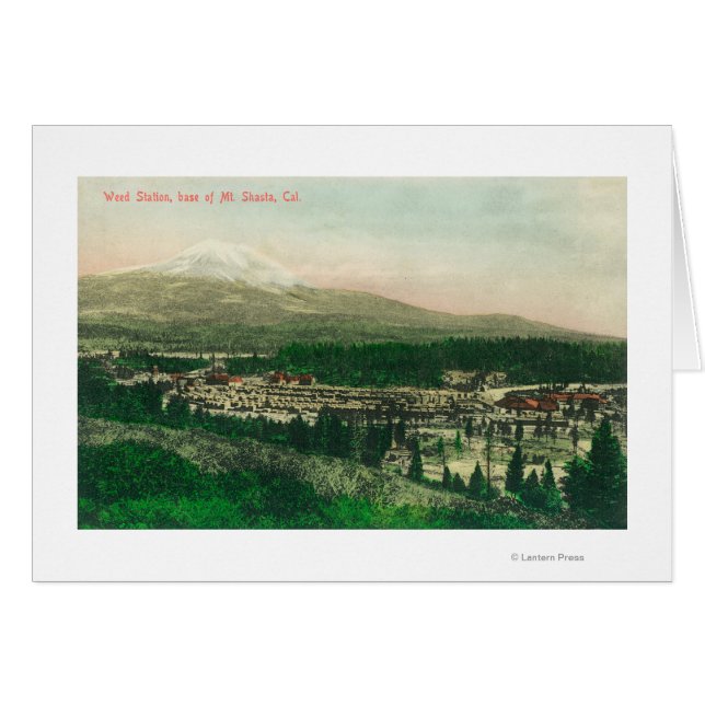 Luftaufnahme der Unkrautstation am Mt. Shasta Base (Vorderseite (Horizontal))