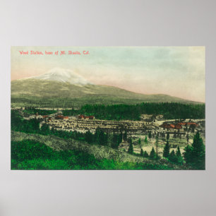 Luftaufnahme der Unkrautstation am Mt. Shasta Base Poster