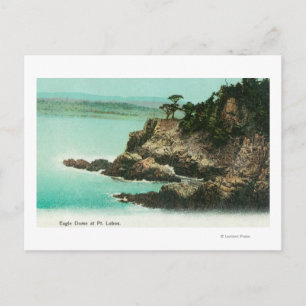 Luftaufnahme des Adlerkuppels bei Point Lobos Postkarte