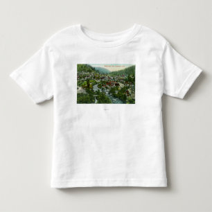 Luftaufnahme des CityDunsmuir, CA Kleinkind T-shirt