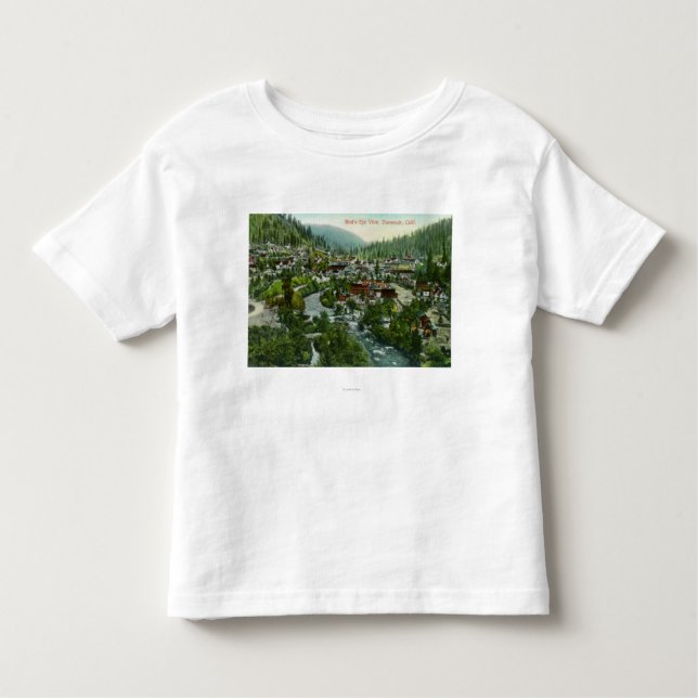 Luftaufnahme des CityDunsmuir, CA Kleinkind T-shirt (Vorderseite)