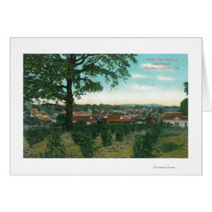 Luftaufnahme des TownSebastopol, CA