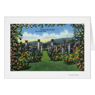 Luftaufnahme des Yale-Schüssel-Stadions, Yale U