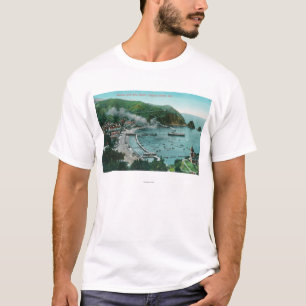 Luftaufnahme von Avalon und von Bucht T-Shirt