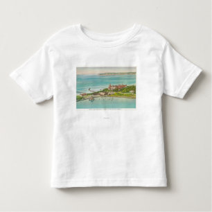 Luftaufnahme von Hotel del Coronado Kleinkind T-shirt