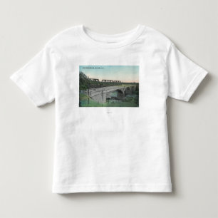 Luftaufnahme von Putah Nebenfluss BridgeWinters, Kleinkind T-shirt
