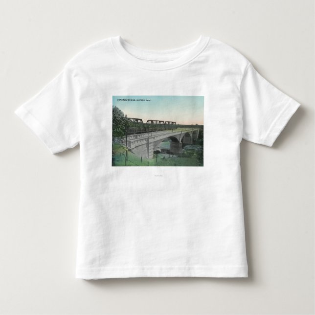 Luftaufnahme von Putah Nebenfluss BridgeWinters, Kleinkind T-shirt (Vorderseite)
