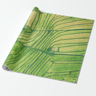 Luftaufnahmen des Reisfeldes Geschenkpapier