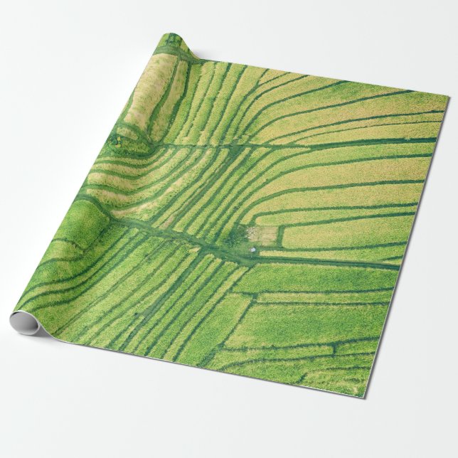 Luftaufnahmen des Reisfeldes Geschenkpapier (Ungerollt)