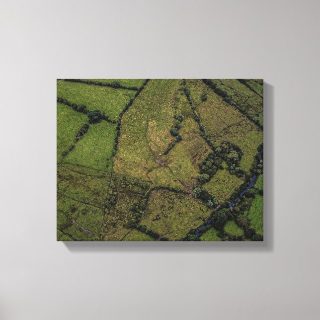 Luftaufnahmen von Grünflächen Leinwanddruck (Vorderseite)