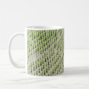 Luftaufnahmen von Reiskulturen während des Tages Kaffeetasse