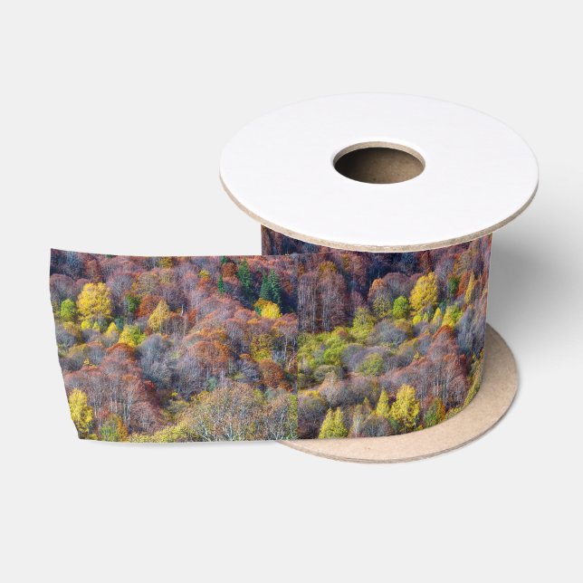 Luftbild der farbenfrohen Bäume des Herbstes Satinband (Spule)