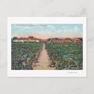 Luftbild der Weinberge und Weinkeller Postkarte