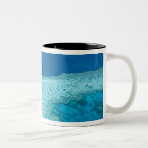 Luftbild des Great Barrier Reef am Zweifarbige Tasse