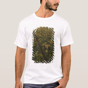Luftbild des Regenwaldes. Iwokrama-Reservat, 2 T-Shirt