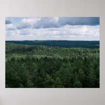 Luftbild Grüne Nordische Waldlandschaftsfotografie