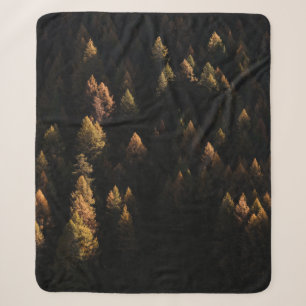 Luftbild von Kiefern Sherpadecke